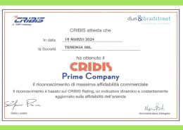Cribis-Prime-Company-a-Tenenga